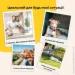 IDEIA -      (608010 )  ,  ,  (8-35942*001)