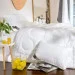 IDEIA    Air Dream Exclusive 140210  (8-11763)