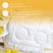 IDEIA    Air Dream Exclusive 140210  (8-11763)