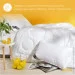IDEIA    Air Dream Exclusive 155210  (8-11764)