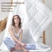 IDEIA   AIR DREAM PREMIUM 140210  (8-11694)