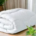 IDEIA   Aloe Vera    140210  (8-13464)