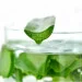 IDEIA   Aloe Vera    200220  (8-13465)