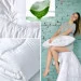IDEIA   Aloe Vera    200220  (8-13465)