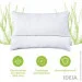 IDEIA   Aloe Vera 5070     (8-12934*001)