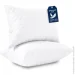  IDEIA   Breeze 2  5070         (8-35955*001)