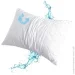  IDEIA  50x70     (2200003911077) (2200003911077)