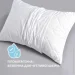  IDEIA  50x70     (2200003911077) (2200003911077)