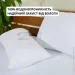  IDEIA  50x70     (2200003911077) (2200003911077)