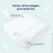  Premium IDEIA 175210   370   () (8-32487)