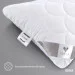 IDEIA  S-FORM      40130   (08-13255)