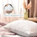  Soft IDEIA 5070      (-) (8-35500*001)