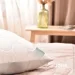  Soft IDEIA 5070      (-) (8-35500*001)