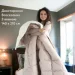 IDEIA    WOOLLY 140210  (8-34174)