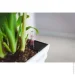  Idel   Flowerbox 40   9,4  / (730027)