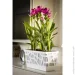  Idel   Flowerbox 40   9,4  / (730027)