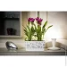  Idel   Flowerbox 40   9,4  / (730034)