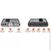    IFI xDSD Gryphon