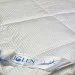 Iglen    100%     220240 (2202401c)