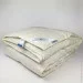 Iglen  - 70%    Roster 110140   (1101402)