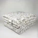  Iglen     BS 140205   (140205BS)