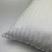 Iglen      S 6060  (6060S)