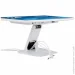  Iiyama T2452MSC-W1