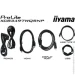  Iiyama XCB3497WQSNP-B1