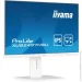  Iiyama XUB2497HSU-W2