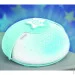 ͳ Infantino    004627I