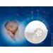 ͳ Infantino     004909I