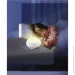      Infantino     3  1 004915I