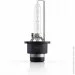   Infolight D2S (+ 50%) 6000K