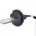      Infolight Expert Plus 4 9006 6000 + 50%