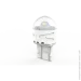   Infolight    T20, 7443 (w21/5w)