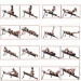Insportline    ,    Omni-Fit (25754)