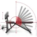 Insportline     ON-X AB10 (25784)