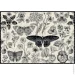  Interdruk Flowers 3 (326041)