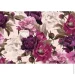  Interdruk Flowers 1 (326027)