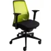   Interstuhl Every (EV216 (MH01/green mesh))