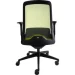  Interstuhl Every (EV216 (MH01/green mesh))