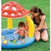  Intex   (57114) (34621)