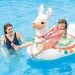 -  Intex   "" (57564)