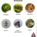  Irex     LED   1200mAh 3 
