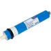  Ital    100  (IW2012-100)