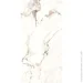 Italica  Mallow White 60x120 