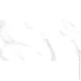 Italica  Statuario Carrara 60x120 