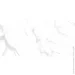 Italica  Statuario Carrara 60x120 