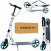  Itrike SR 2-049-1-WBL White-Blue (6903317403615)