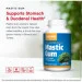   Jarrow Formulas   Mastic Gum 60  (4384304492)